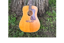 MN Bluegrass Silent Auction & Sweepstakes 1 3d3399410079d0fb8993609564ac0d5b